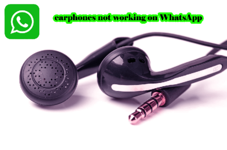 Why earphones not working on WhatsApp video call?