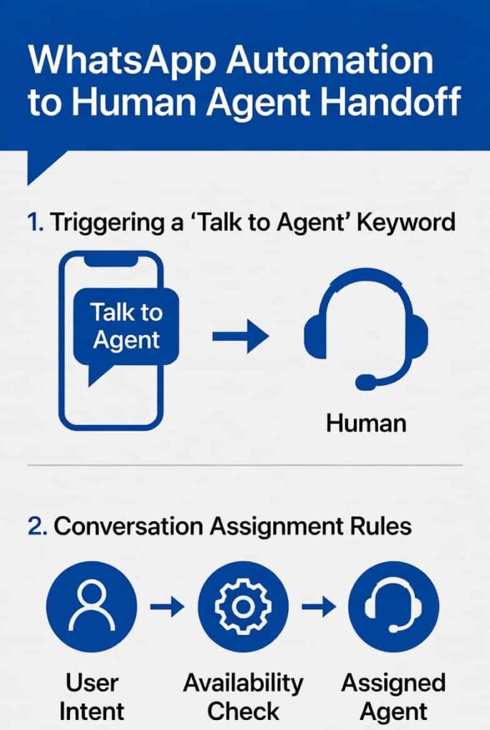 WhatsApp Automation to Human